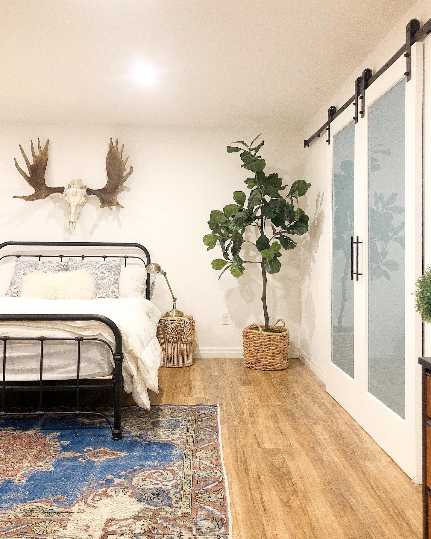 Bedroom with metal bed frame, antler wall decor, large plant, and sliding barn doors.